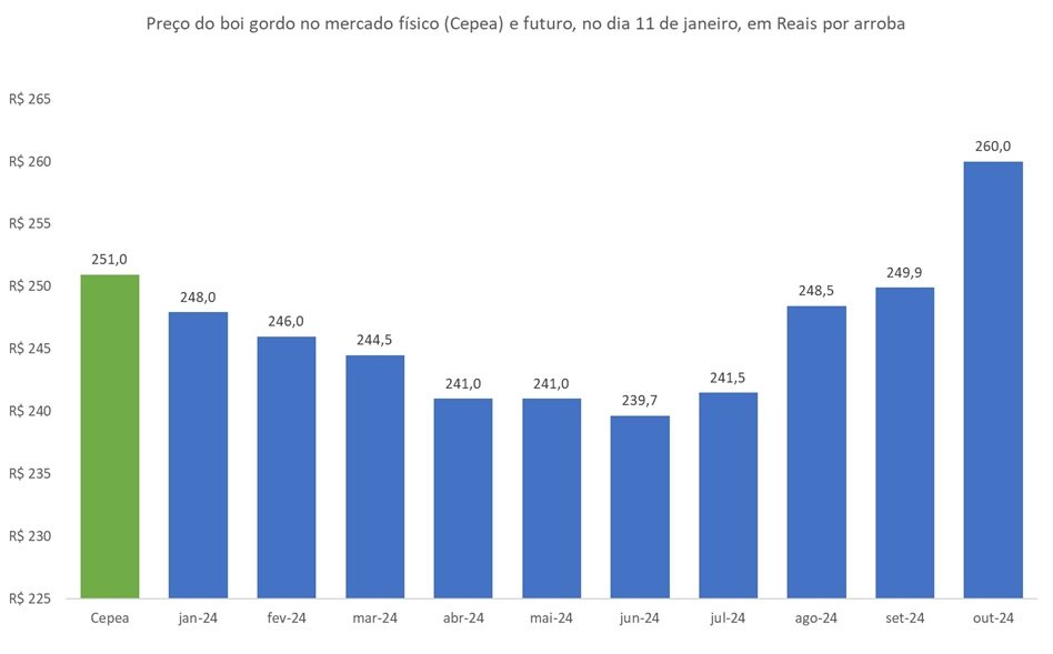 preço futuro do boi gordo
