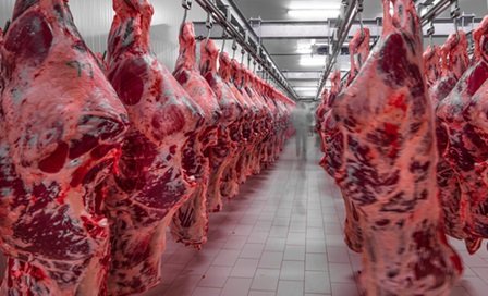 exportação de carne bovina