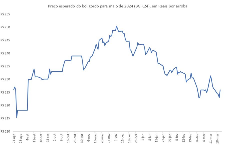 preço futuro do boi gordo