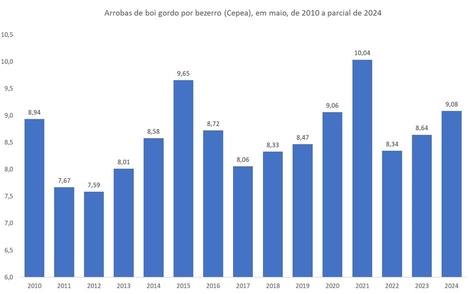 arrobas de boi gordo 