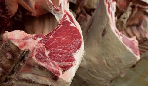 exportação de carne bovina