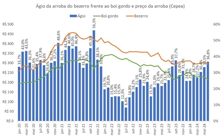 ágio do bezerro
