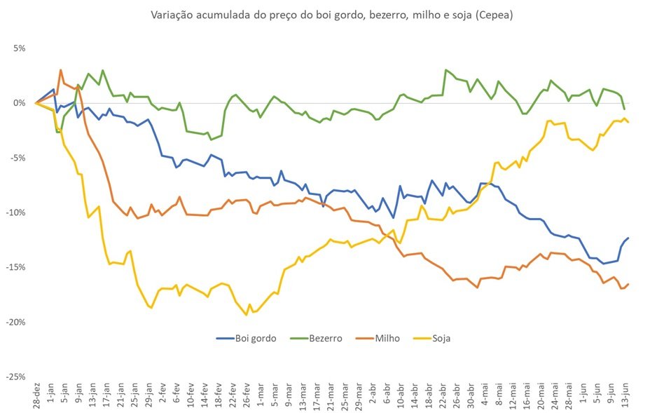 preço do boi gordo