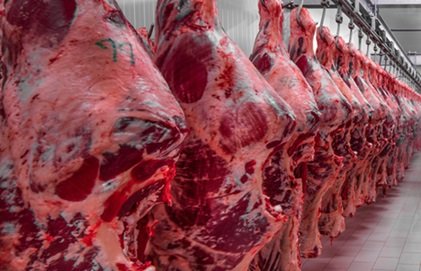 frozen beef from brazil
