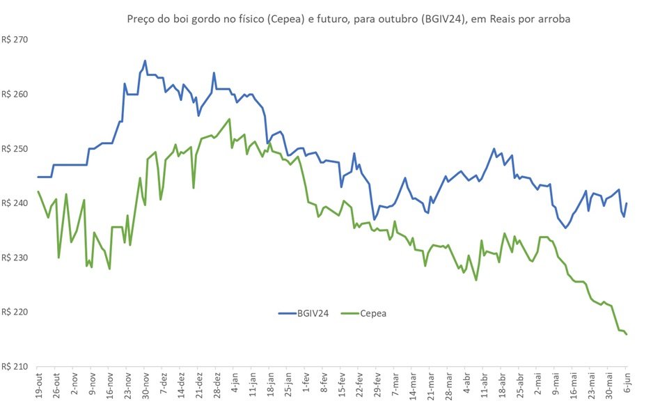 preço futuro do boi gordo