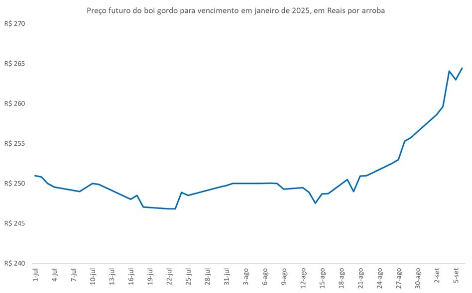 mercado futuro do boi
