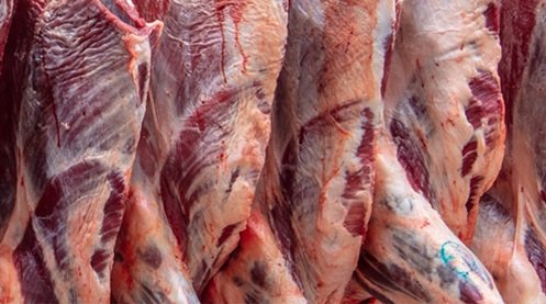 venda de carne bovina do Brasil