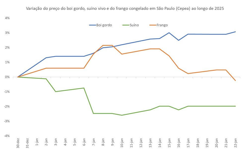 preço do boi gordo