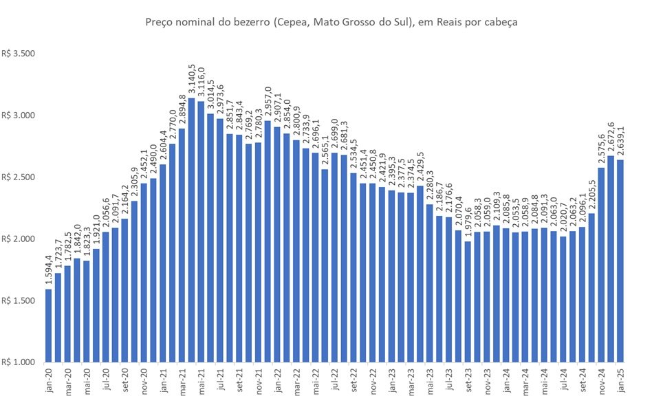 preço do bezerro