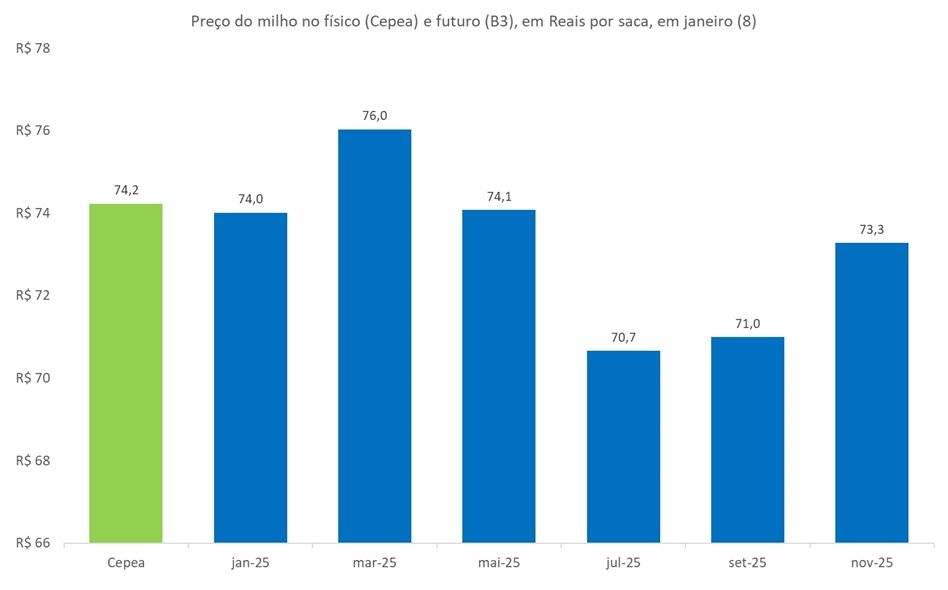 preço futuro do milho