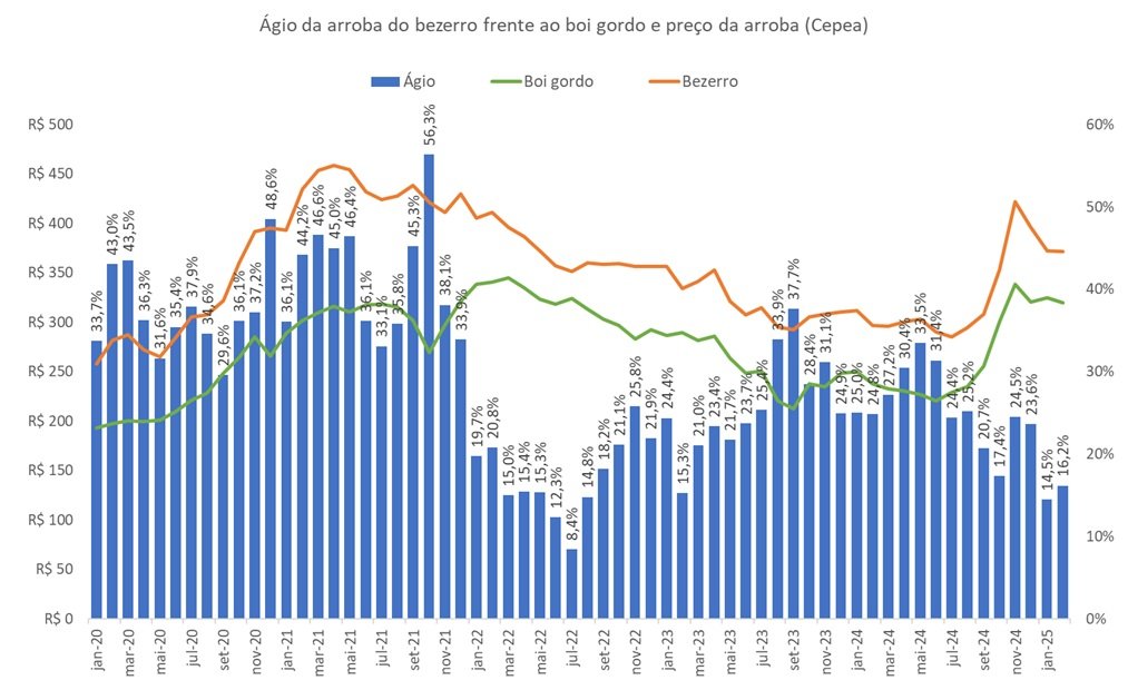 ágio do bezerro