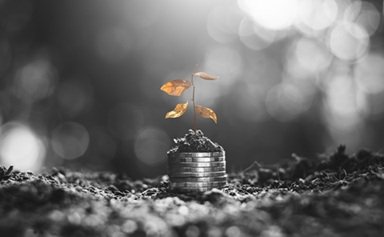 startups do agronegócio