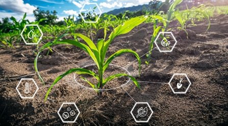 agricultura tropical
