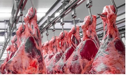 exportação de carne bovina