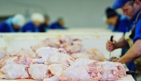 preço da carne de frango