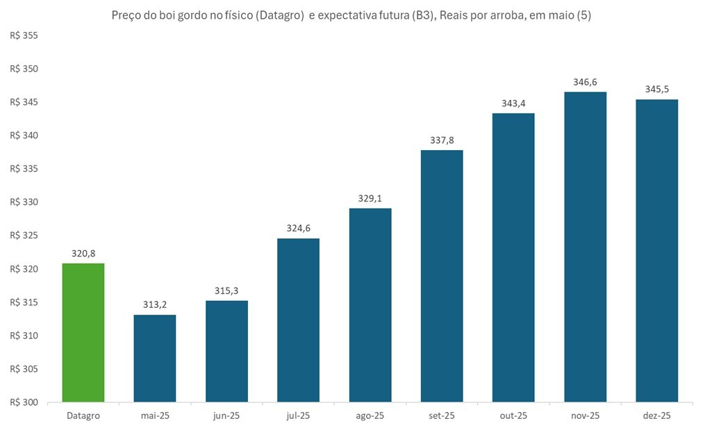 preço futuro do boi gordo