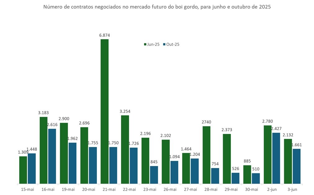mercado futuro do boi gordo