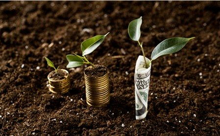 monetizar sustentabilidade