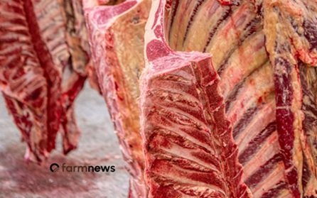 preço da carne bovina