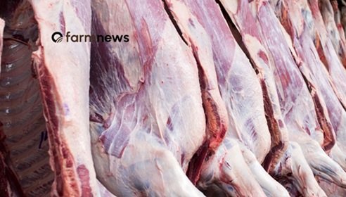 exportação de carne bovina