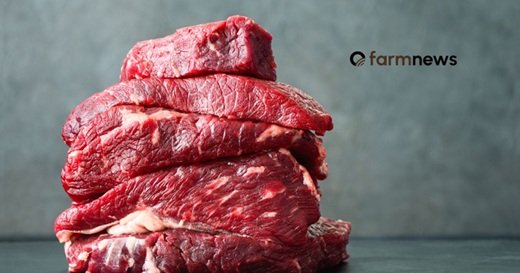 carne bovina no atacado