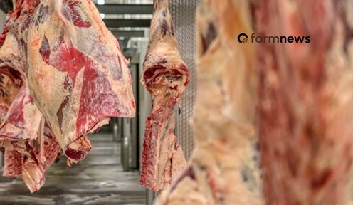 importação de carne bovina do Brasil pela China