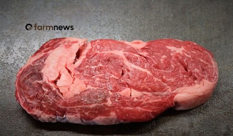 carne bovina do Brasil para o Uruguai