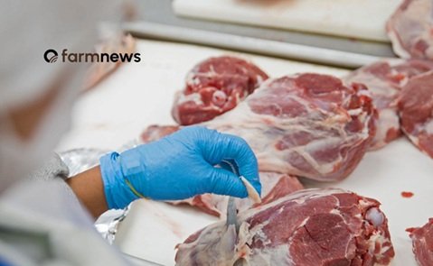 importação de carne bovina do Brasil pelos EUA