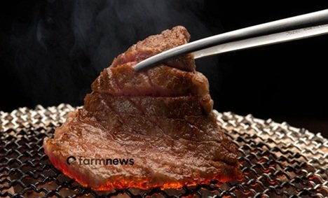 carne bovina