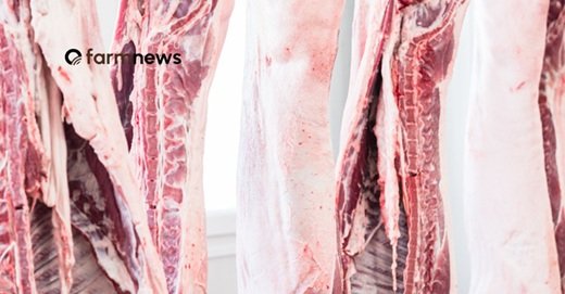 exportação de carne suína