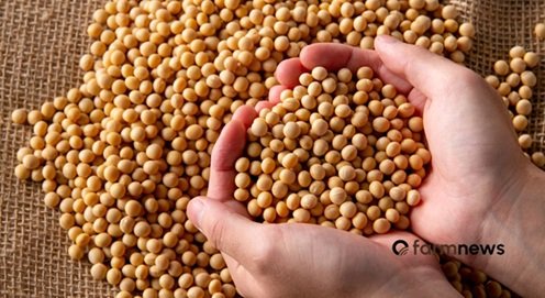 compra de soja do Brasil pela China