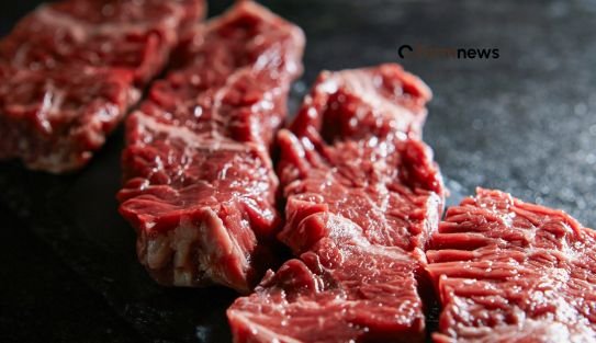 exportação de carne bovina