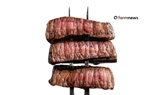 consumo de carne bovina