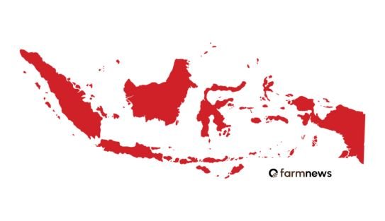 importação de carne bovina do Brasil