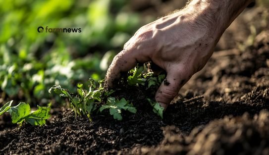 lucro do produtor rural