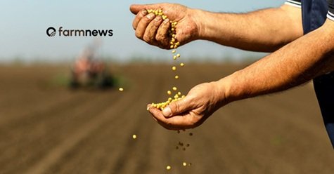 seed treatment