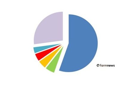 principais países importadores de carne bovina
