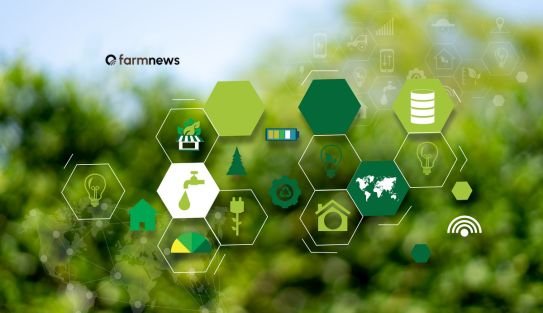 nova fronteira agrícola
