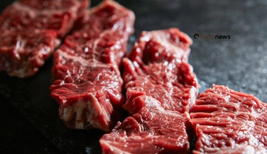 importação de carne bovina pelo Brasil