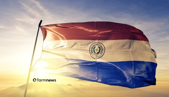 paraguai