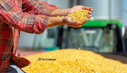 Farm profit in 2026