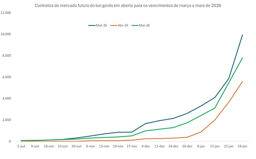 futuro do boi gordo