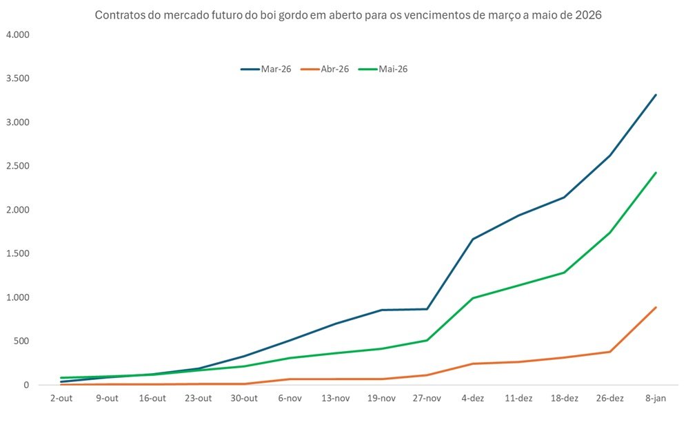 futuro do boi gordo