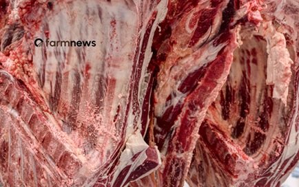 exportação de carne bovina