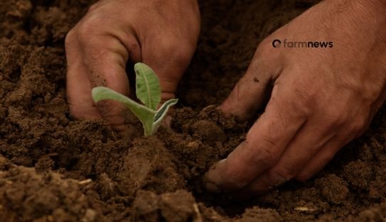 regenerative agriculture