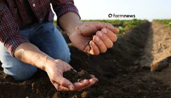 produtor rural