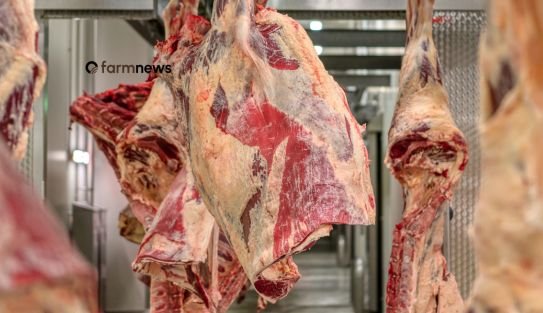 ágio da carne bovina exportada
