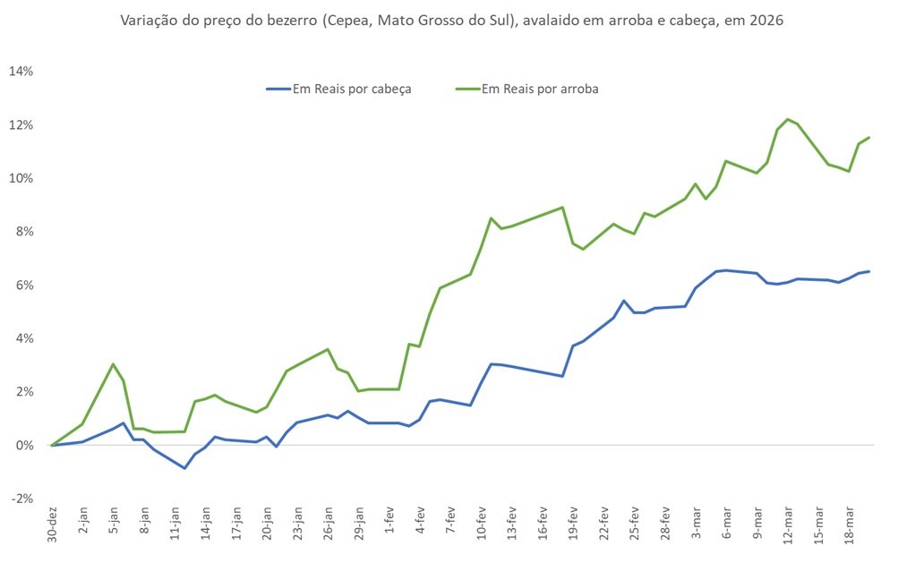 preço do bezerro