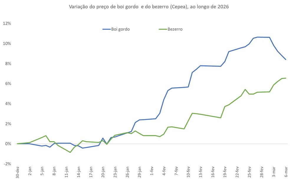 preço do bezerro