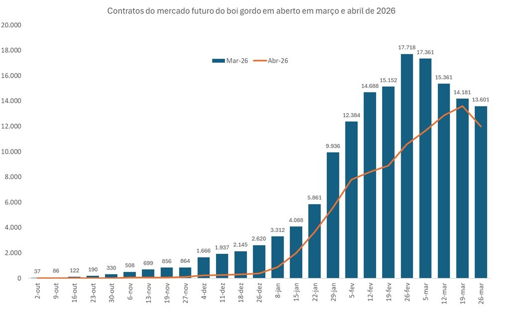 futuro do boi gordo